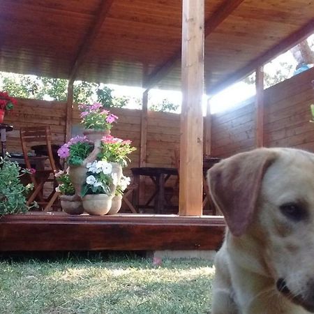 La Contea Bed and Breakfast SantʼAnna Arresi Εξωτερικό φωτογραφία