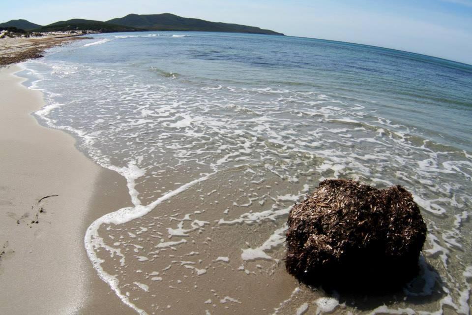 La Contea Bed and Breakfast SantʼAnna Arresi Εξωτερικό φωτογραφία