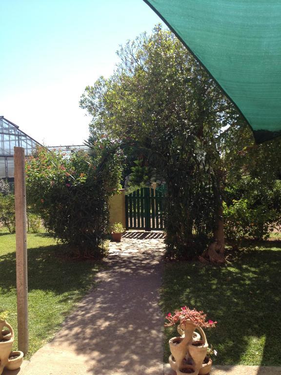 La Contea Bed and Breakfast SantʼAnna Arresi Εξωτερικό φωτογραφία