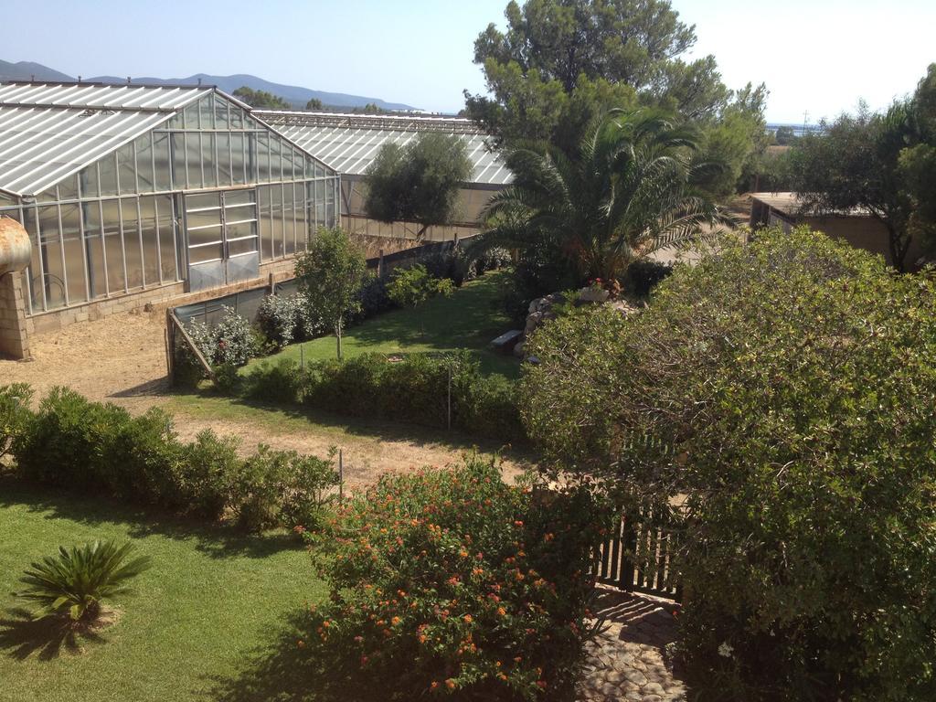 La Contea Bed and Breakfast SantʼAnna Arresi Εξωτερικό φωτογραφία