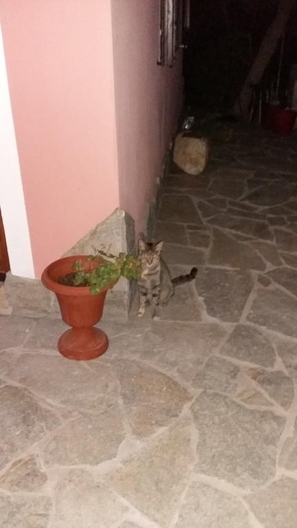 La Contea Bed and Breakfast SantʼAnna Arresi Εξωτερικό φωτογραφία