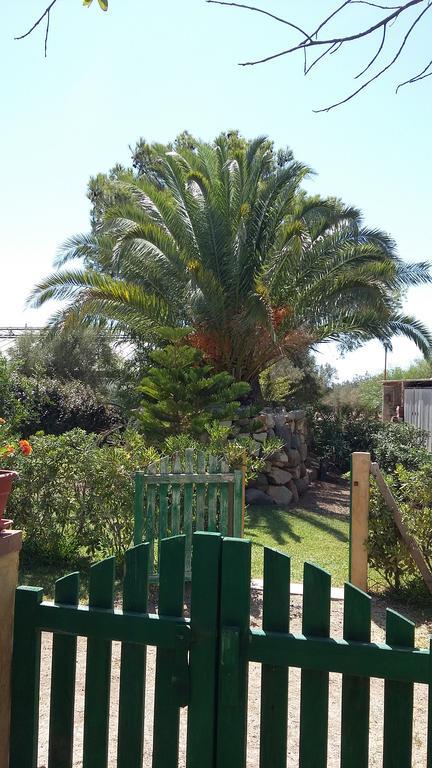 La Contea Bed and Breakfast SantʼAnna Arresi Εξωτερικό φωτογραφία
