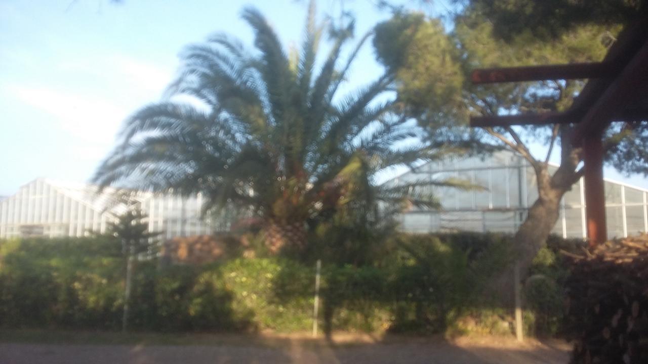 La Contea Bed and Breakfast SantʼAnna Arresi Εξωτερικό φωτογραφία