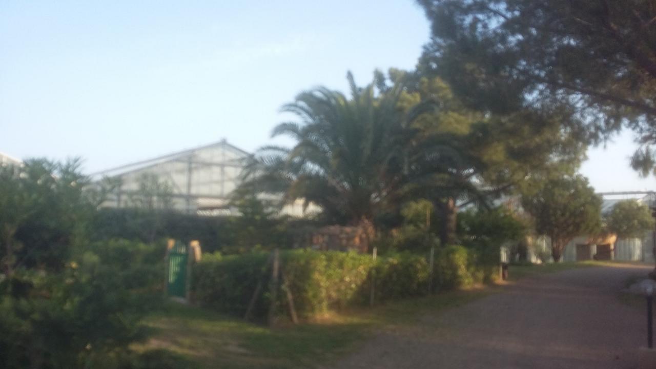 La Contea Bed and Breakfast SantʼAnna Arresi Εξωτερικό φωτογραφία