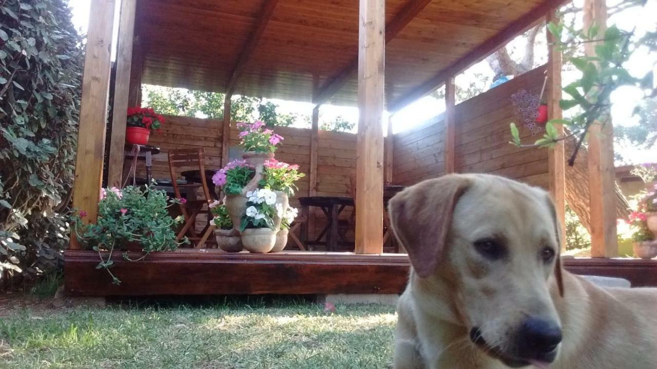 La Contea Bed and Breakfast SantʼAnna Arresi Εξωτερικό φωτογραφία